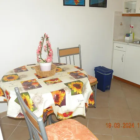 Dkg Apartment