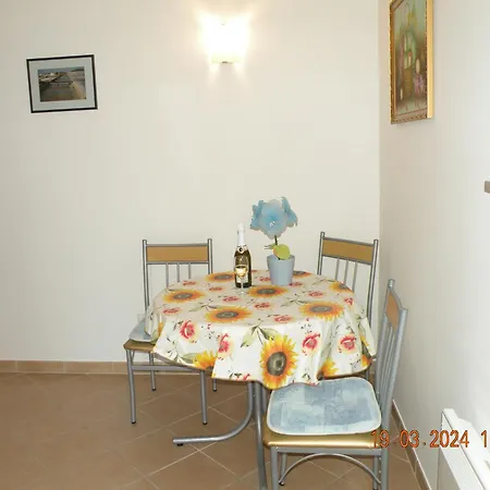 Dkg * 포르토로즈