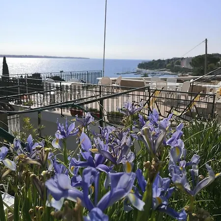Dkg * Portoroz